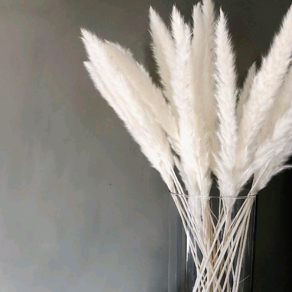 NEW PAMPAS CREAM WHITE 40 PC SET